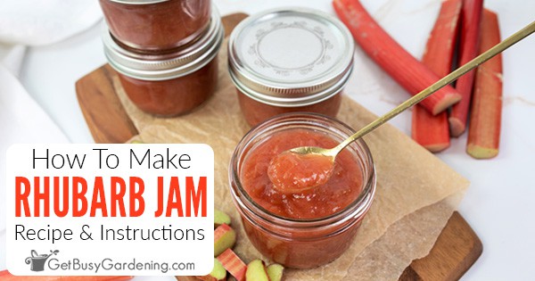 How to Make Rhubarb Jam: With & Without Pectin Guide